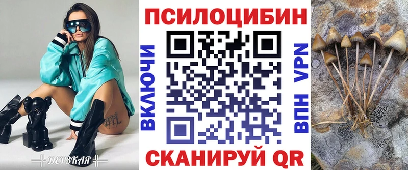Купить закладки  Бодайбо  Галлюциногенные грибы GOLDEN TEACHER 